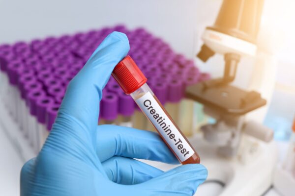 Diseño sin título (49)